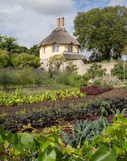 The Lookout at THE PIG-on the beach - Swanage, Dorset