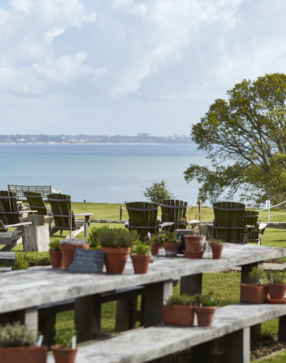 Outdoor dining in Dorset